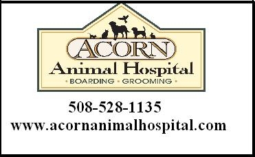 AcornAnimHospital-1